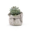 Finibus Bonorum et 2