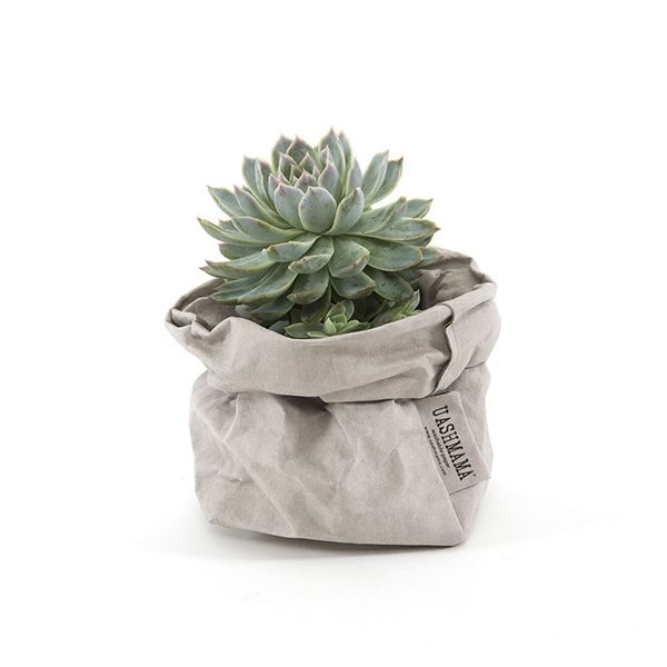 Finibus Bonorum et 1