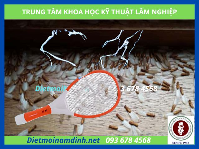 Cách diệt mối cánh bay vào trong nhà: dùng vợt điện diệt