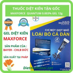 Home 114 Thuốc diệt kiến tận gốc Mapforce Quantum
