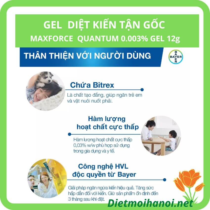 Thuốc diệt kiến tận gốc Maxforce có nhiều ưu việt