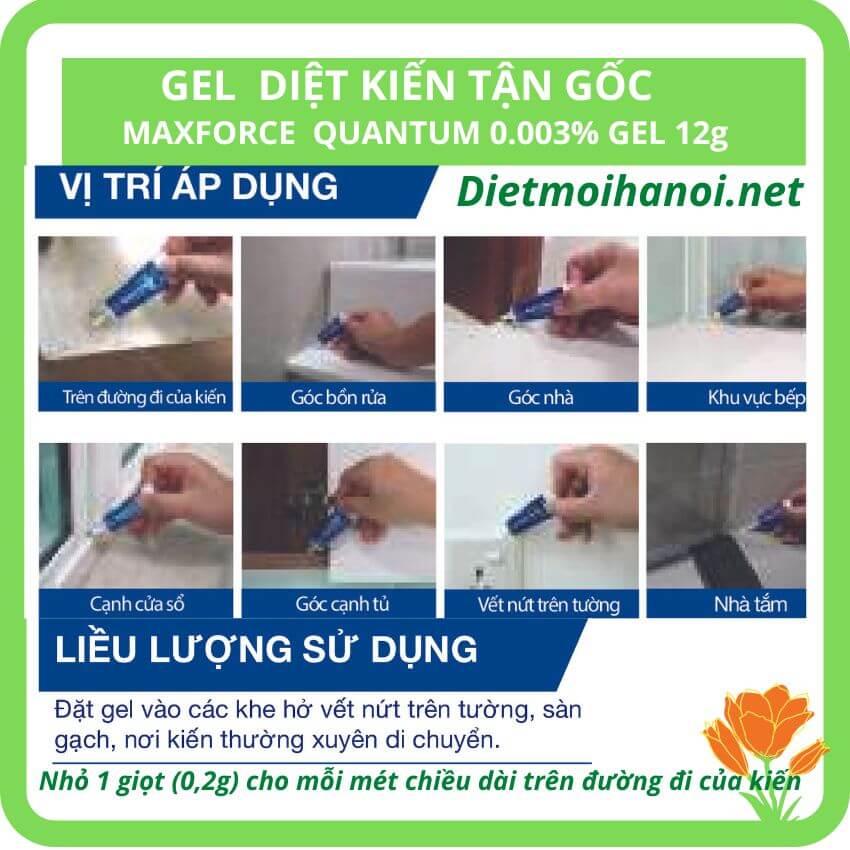 Cách dùng thuốc diệt kiến tận gốc Mapfoce dễ dàng sử dụng